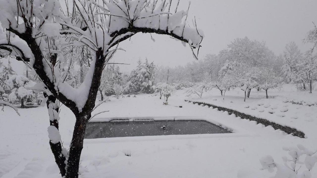 Masseria Boutique B&B Монтелла Екстер'єр фото