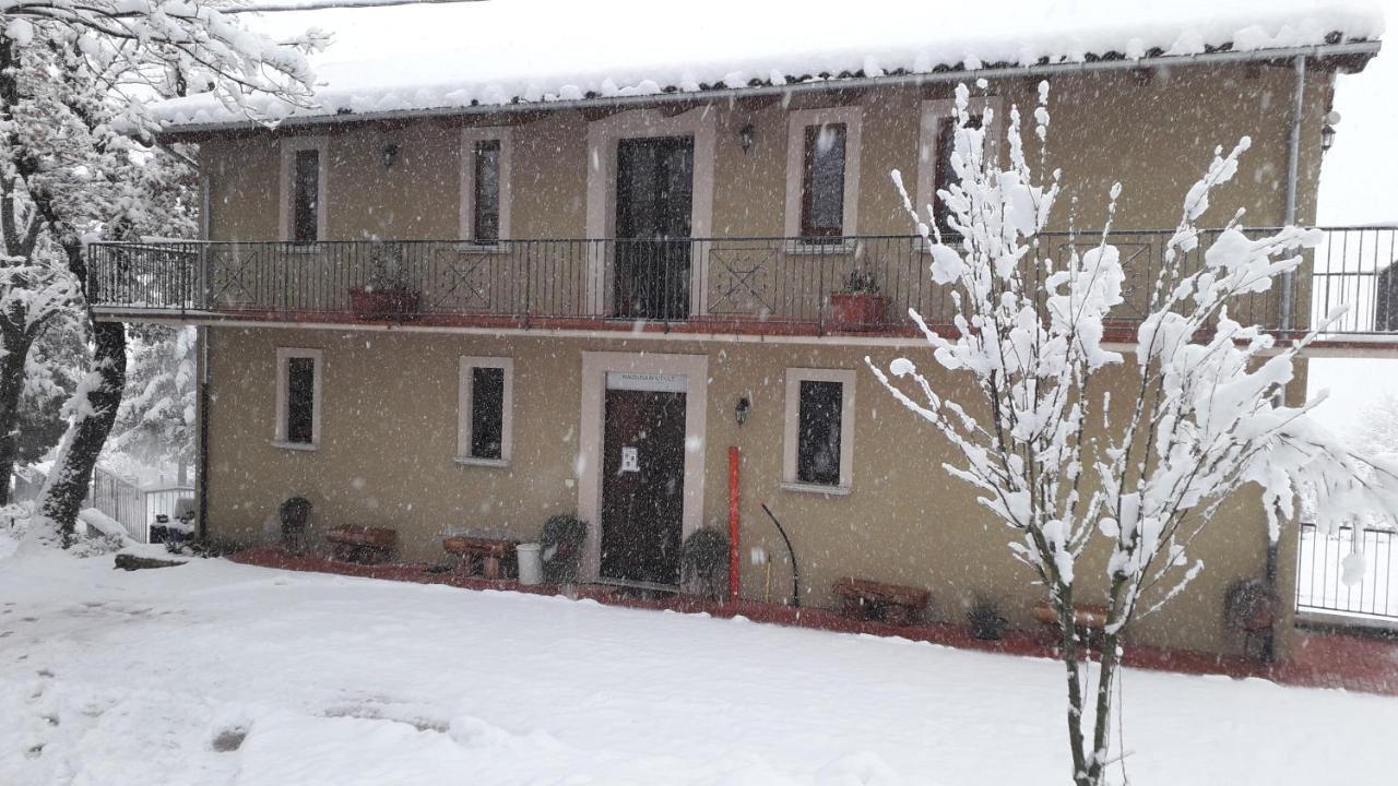 Masseria Boutique B&B Монтелла Екстер'єр фото