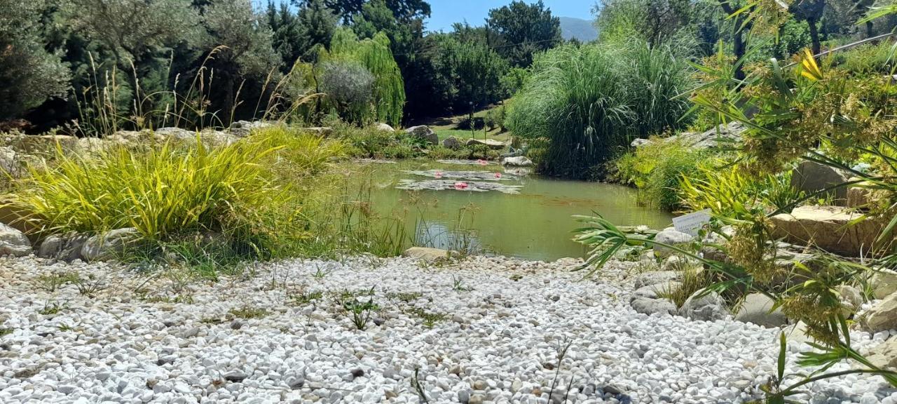 Masseria Boutique B&B Монтелла Екстер'єр фото